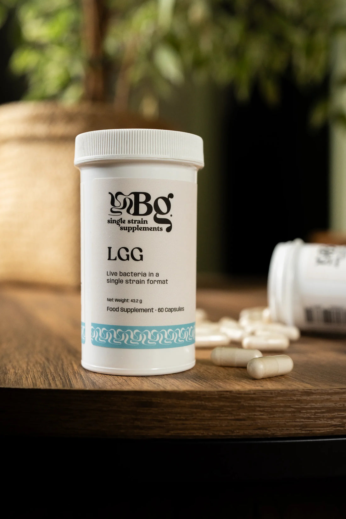 LGG and the Gut-Brain Axis: Can Probiotics Affect the Brain and Mood?
